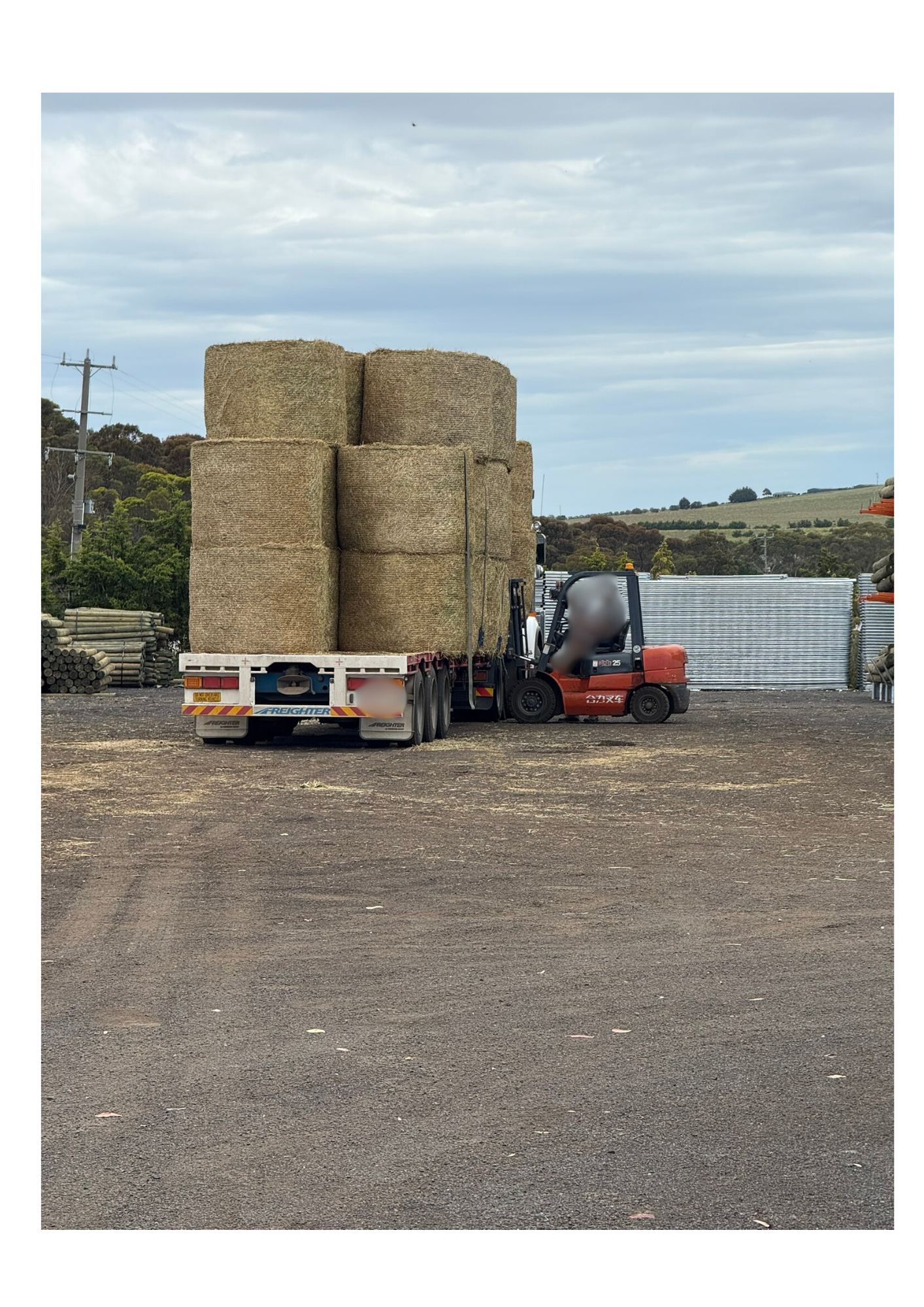 Pasture Hay, Round Bales 5 x 4