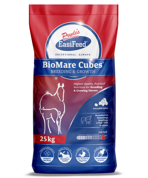 Prydes Bio Mare Cubes 20kg *Special*