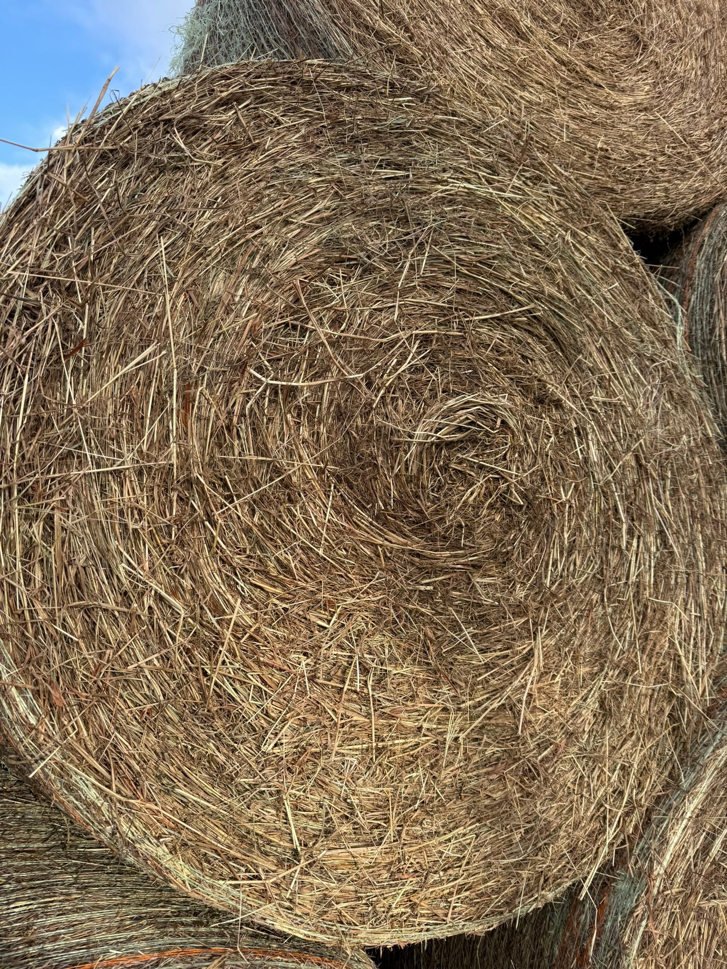 Pasture Hay, Round Bales 4 x 4