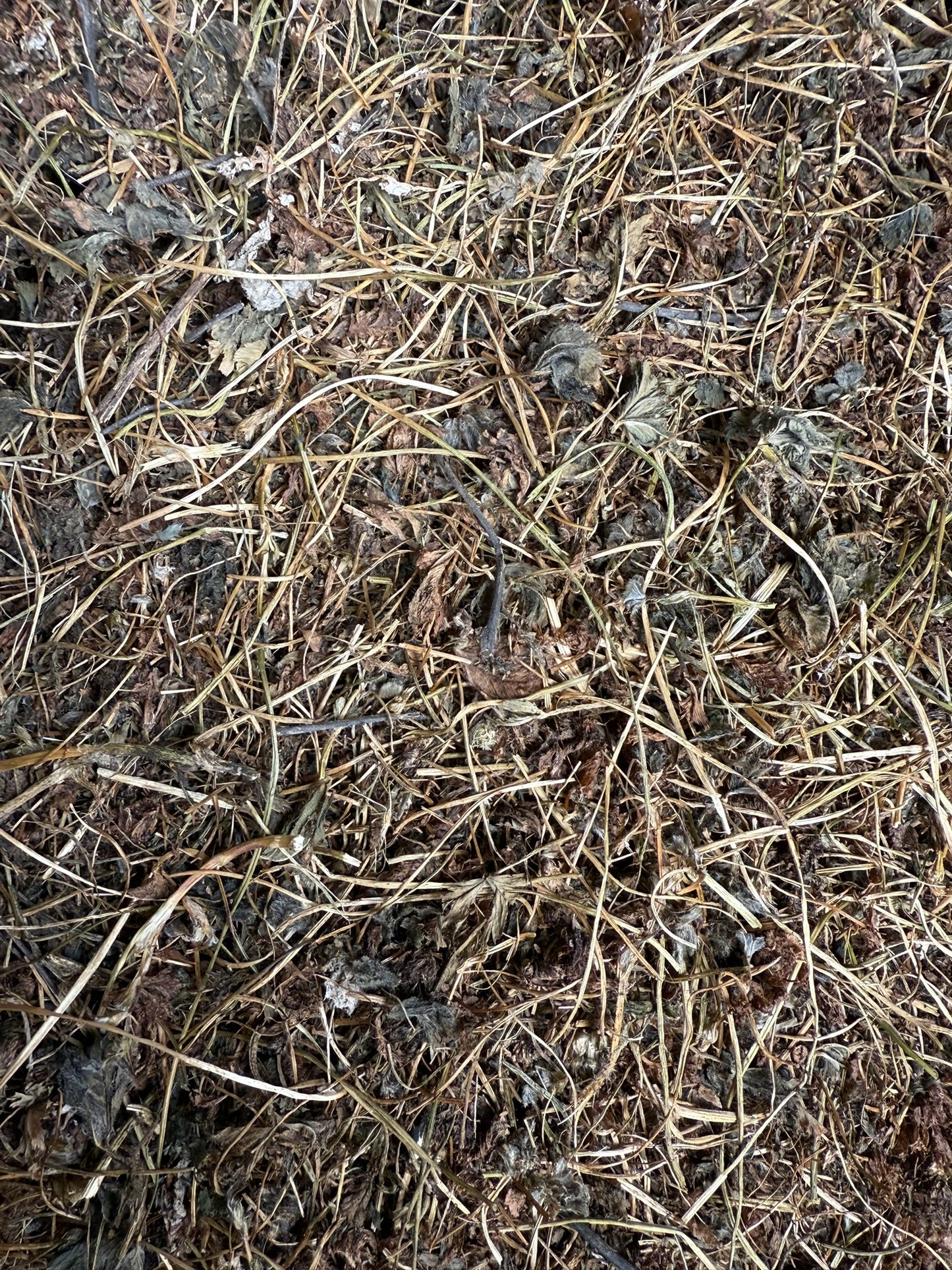 Clover Hay, Small Square Bale