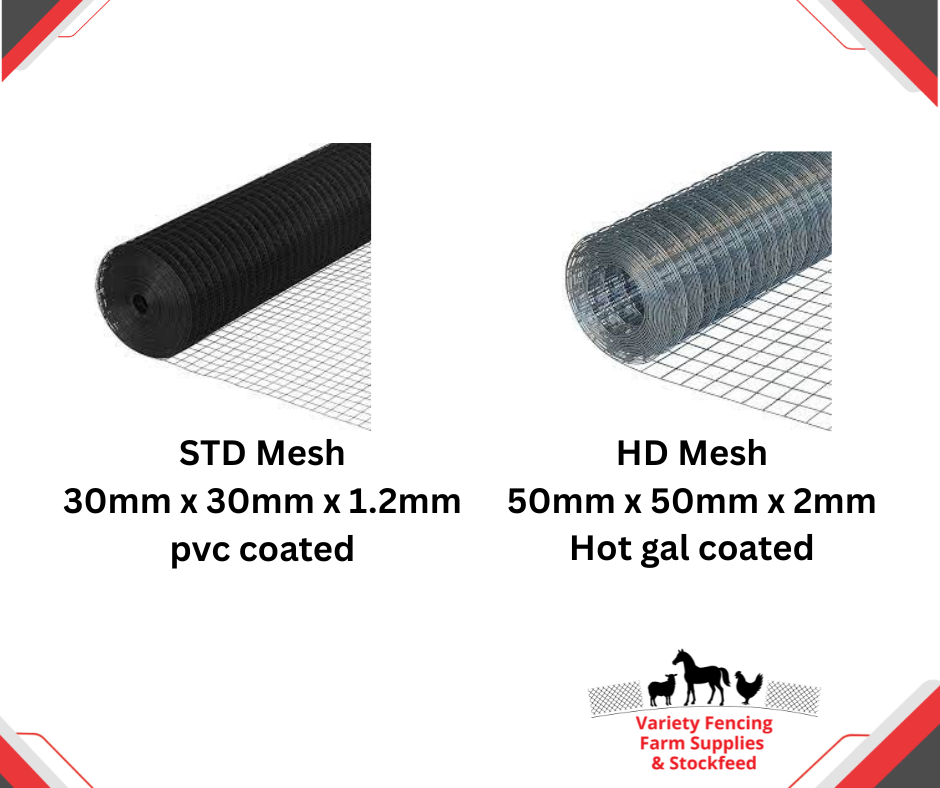 Chicken Coop 6m x 3m x 2m Heavy Duty Mesh