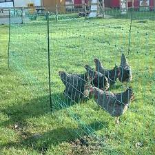 Thunderbird Electrified Poultry Netting 25m with Gate *Sale*