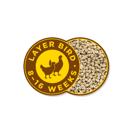 Barastoc Pullet Grower 5kg