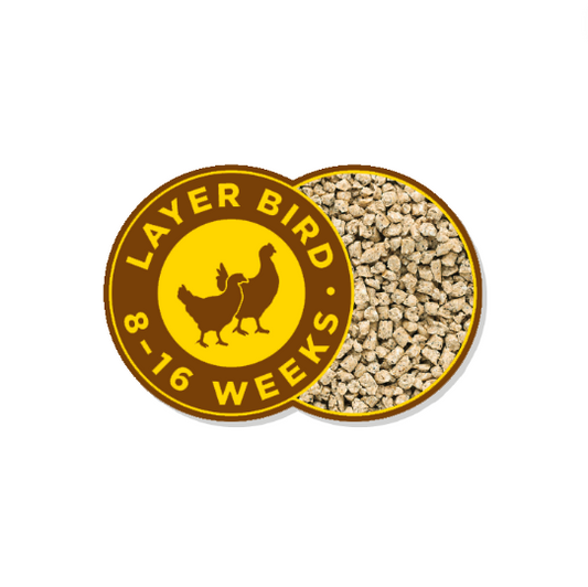 Barastoc Pullet Grower 5kg