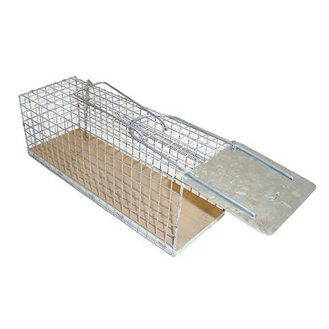 Rat Trap
