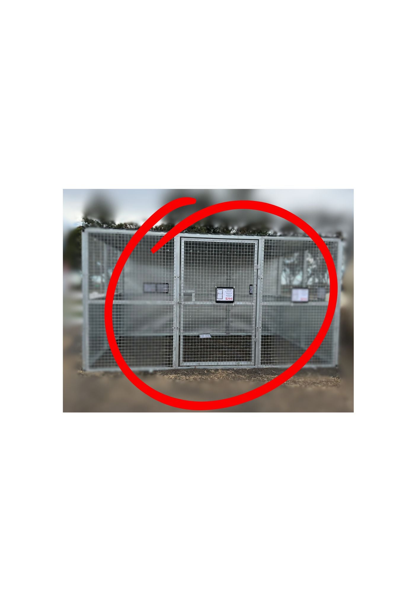 Shed Panel gate with latch