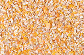 Cracked Maize - Variety Fencing 20kg
