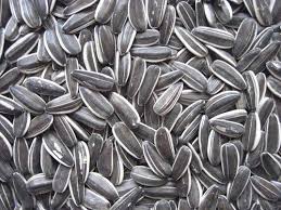 Grey Sun Flower Seeds 20kg