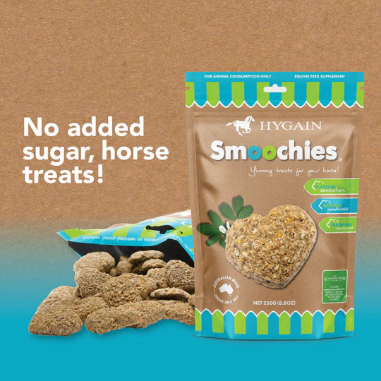 Hygain Smoochies 250g