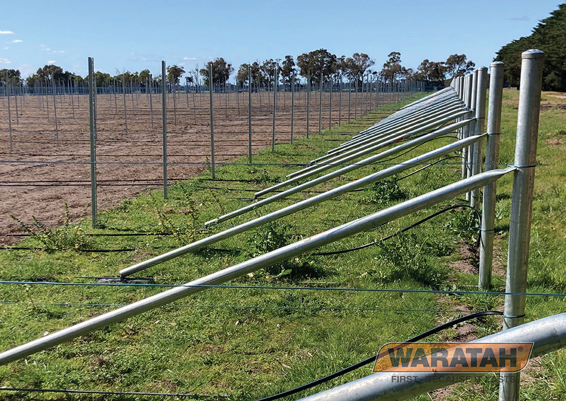 Waratah Adjusta-Stay 50mm