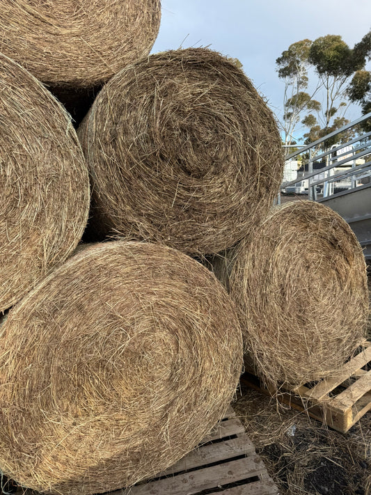 Pasture Hay, Round Bales 4 x 4