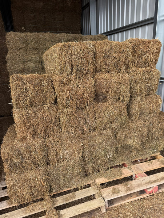 Clover Hay, Small Square Bale