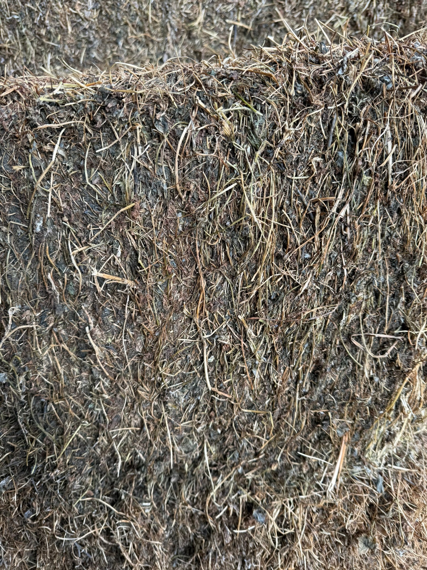 Clover Hay, Small Square Bale