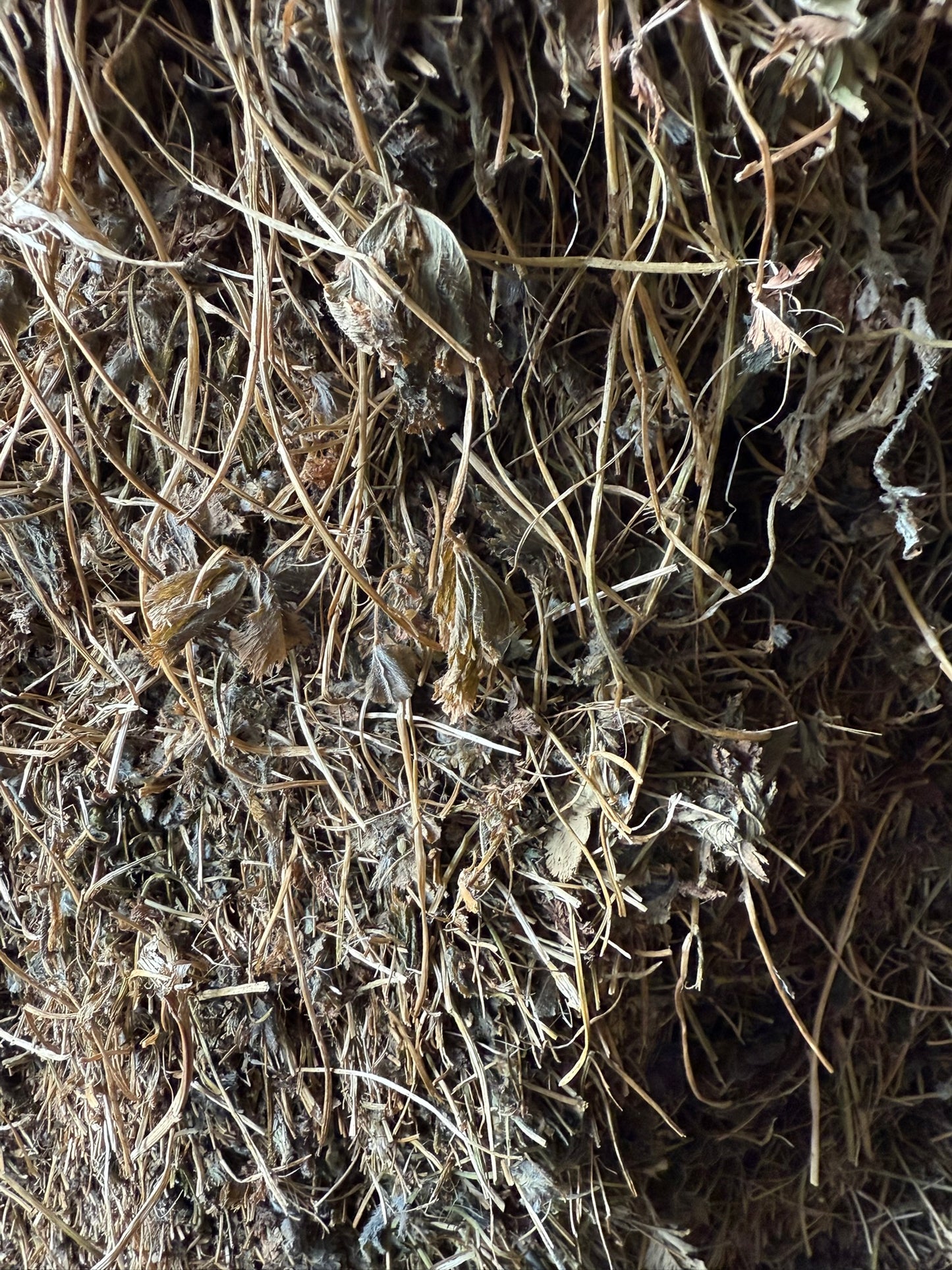 Clover Hay, Small Square Bale