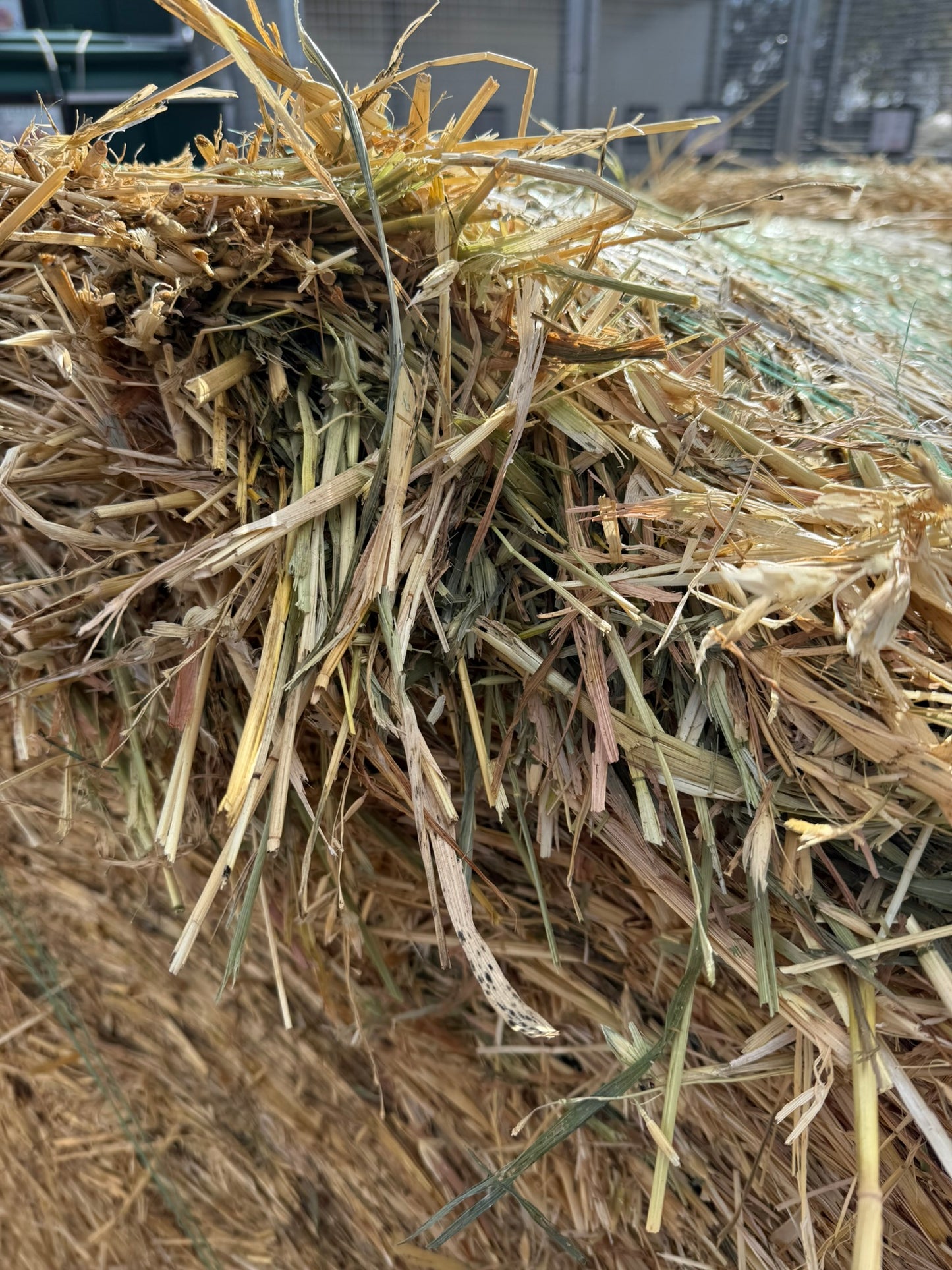 2025 Oaten Rounds New Season 5 x 4