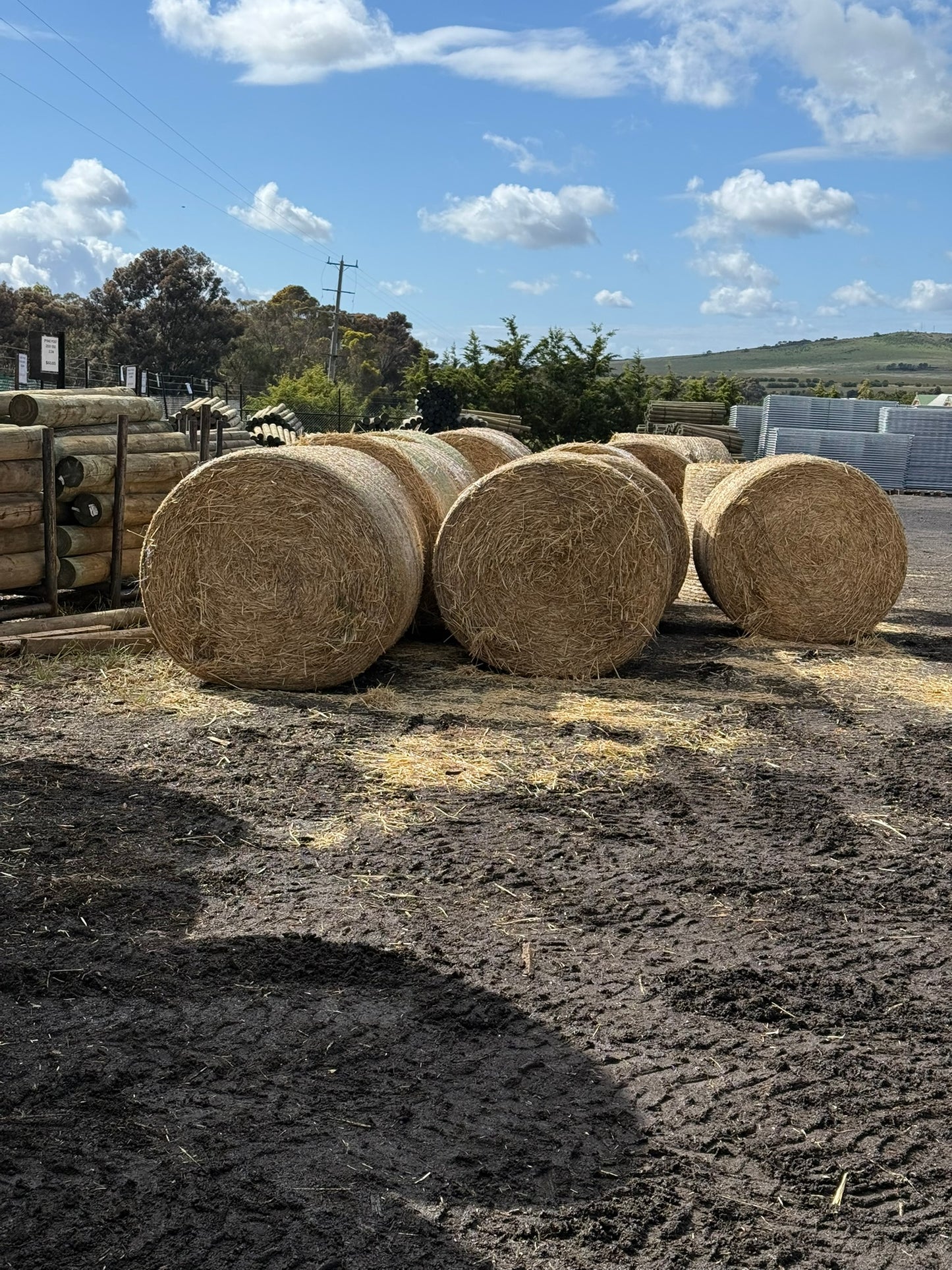 2025 Oaten Rounds New Season 5 x 4