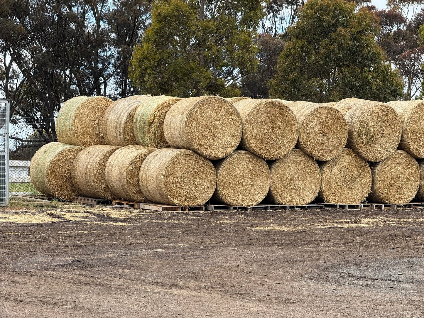 2025 Oaten Rounds New Season 5 x 4