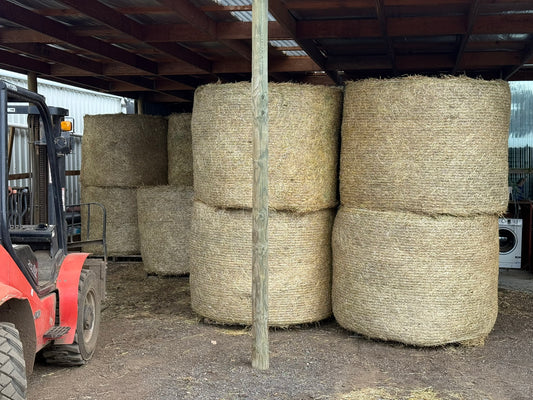 Pasture Hay, Round Bales 5 x 4