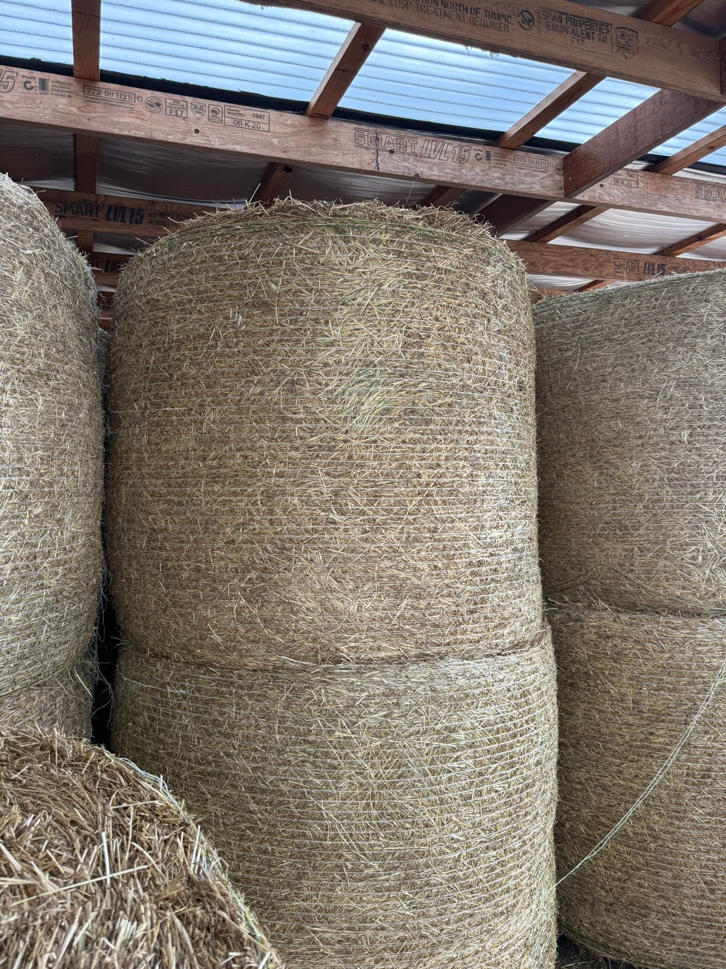 Pasture Hay, Round Bales 5 x 4