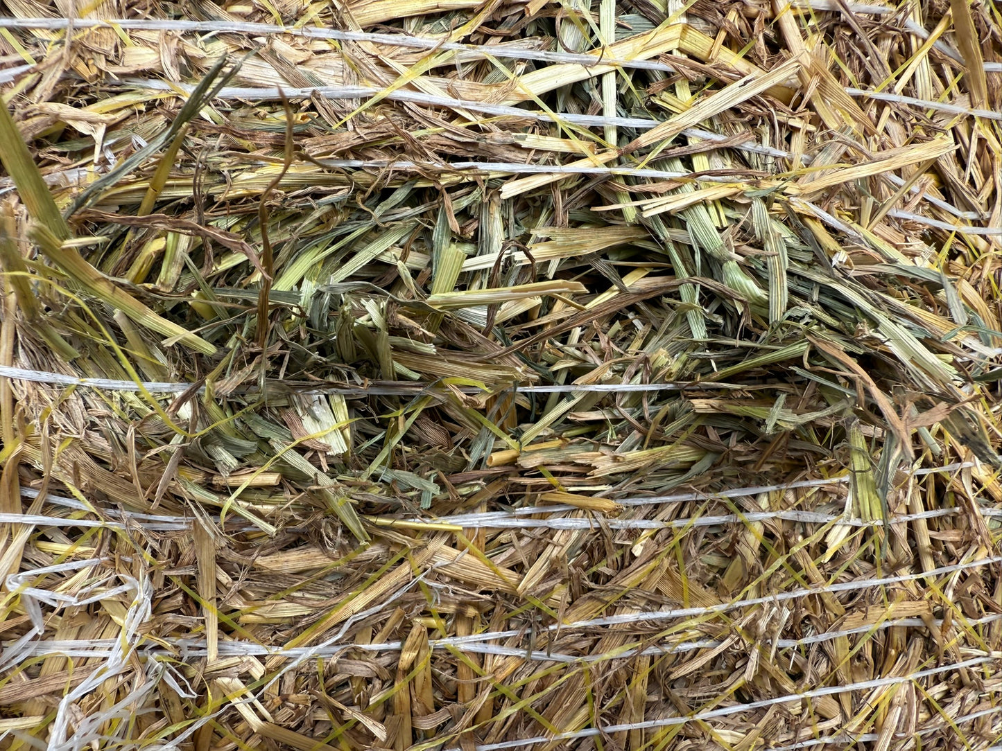 Pasture Hay, Round Bales 5 x 4