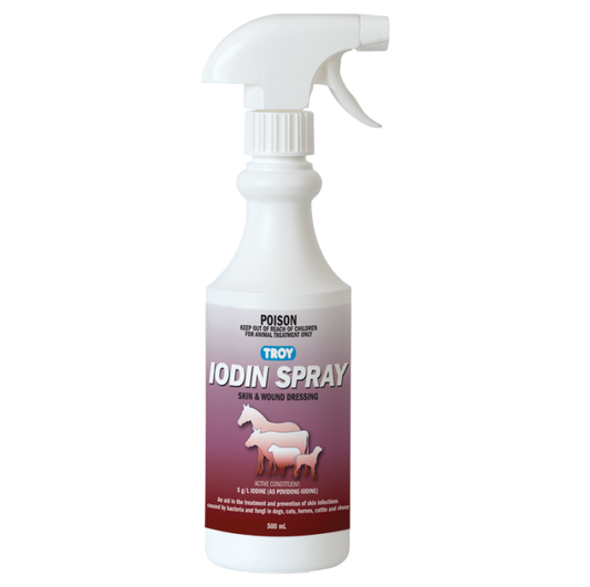 Iodine Spray 500ml