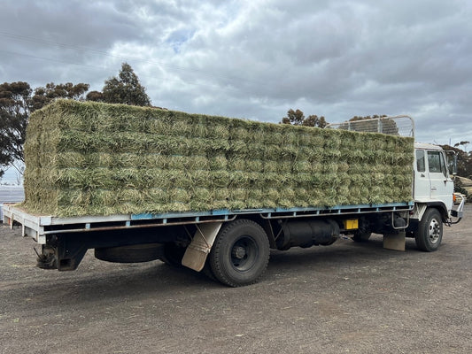 Hay Premium Lucerne Bale