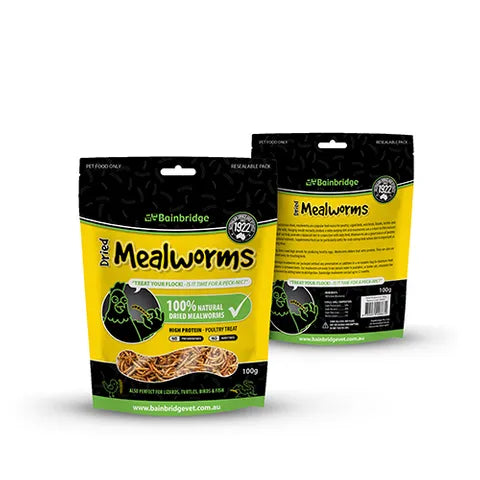 Meal Worms 100g