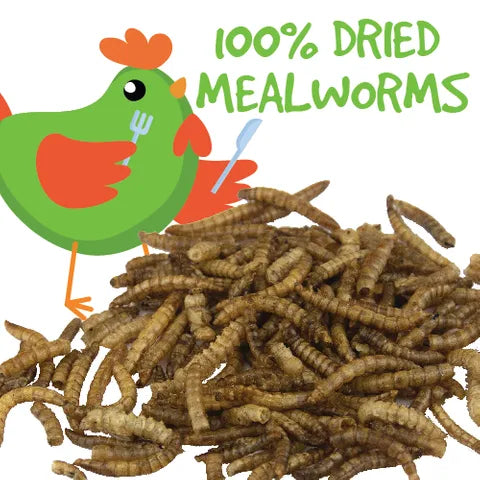 Meal Worms 100g