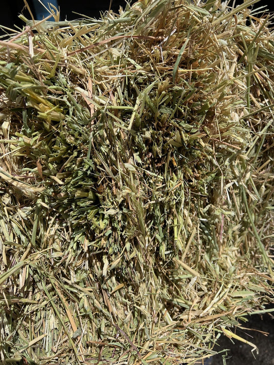 Oaten Hay Bales