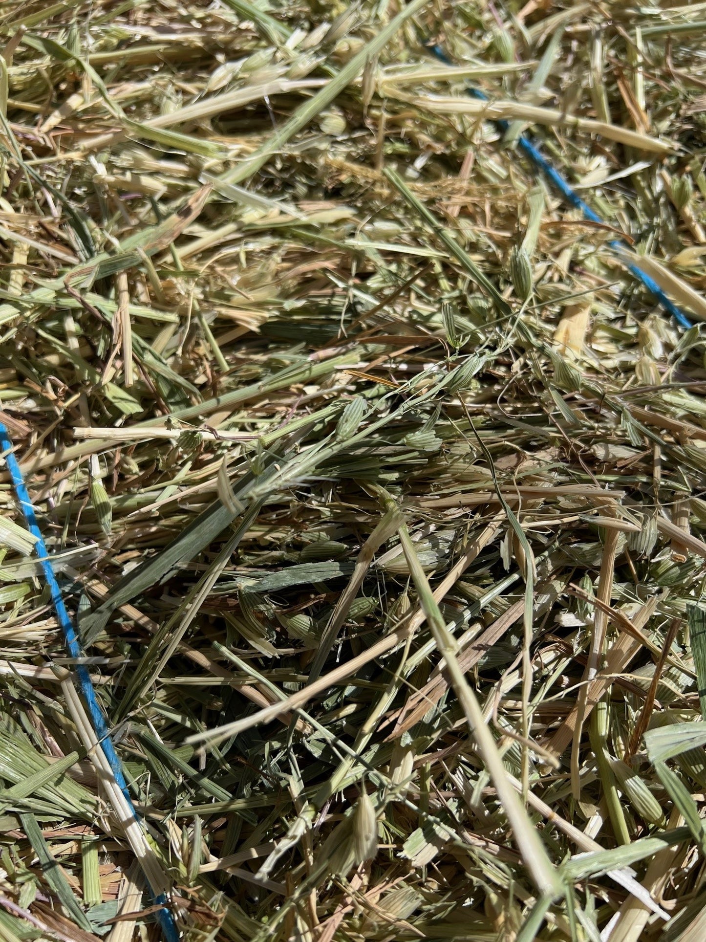 Oaten Hay Bales