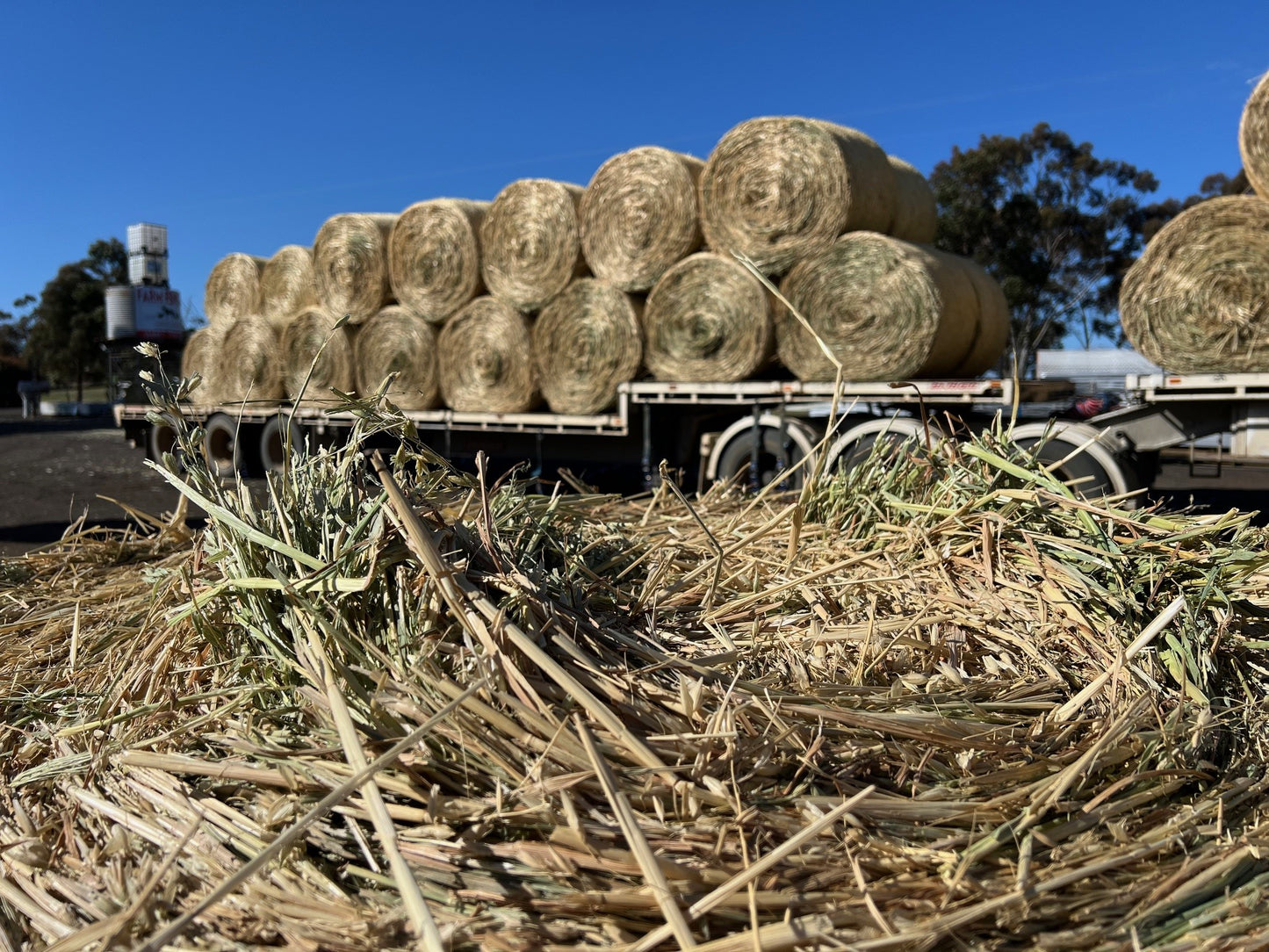 Oaten Rounds New Season