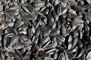 Black Sun Flower Seeds 5kg