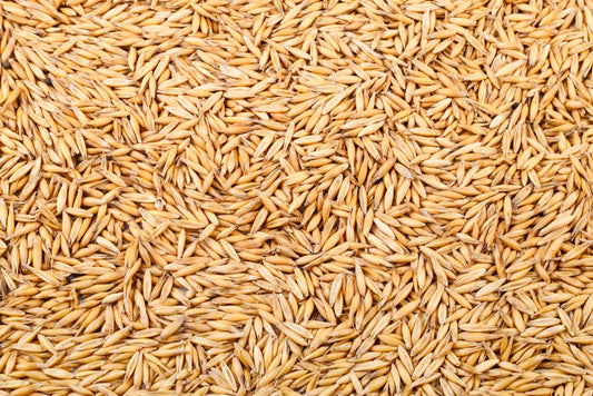 Whole Oats 20kg
