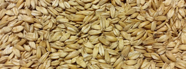 Steamed & Rolled Oats 20kg