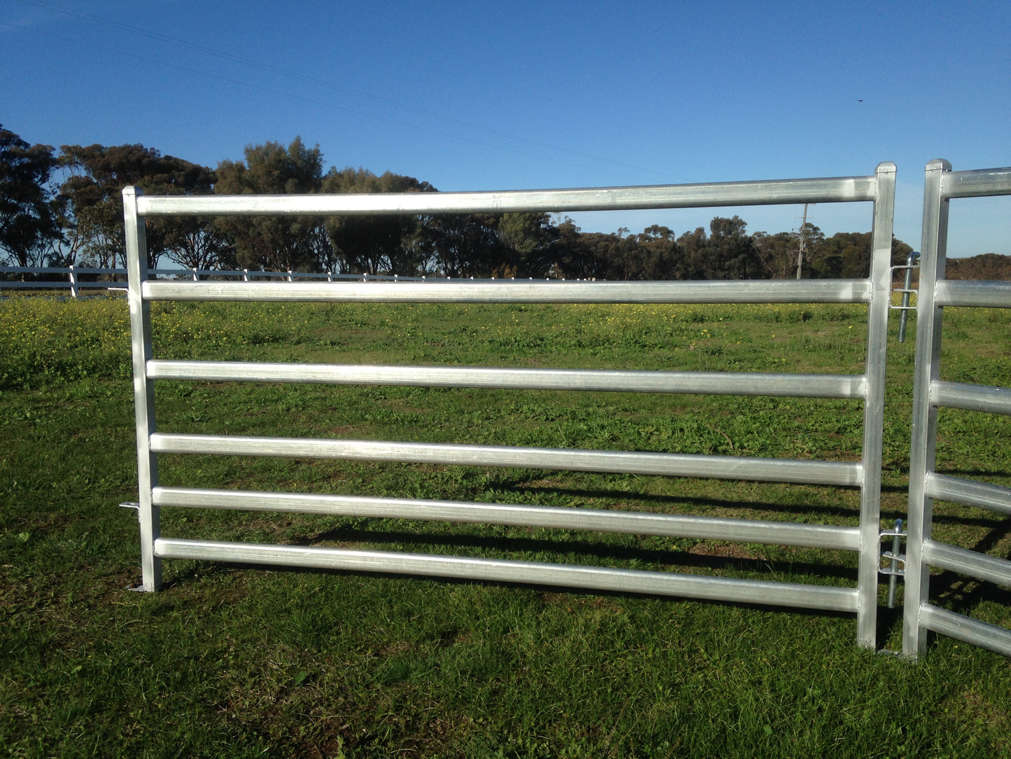 Sheep Panel 1220mmH x 3000mmW