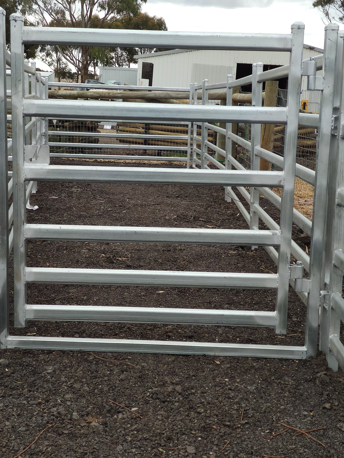 Sheep Gate 1220mmH x 750mmW