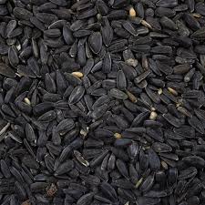 Black Sunflower seeds 20kg