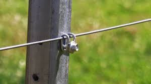 Davo's Fence Clip & 35mm Steel Screw 500pk
